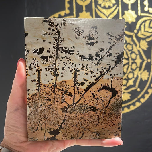 Picture Jasper Slab