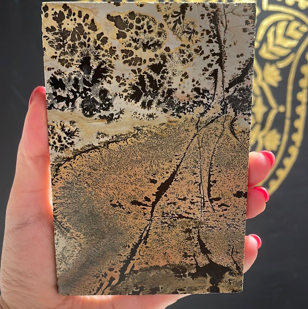 Picture Jasper Slab