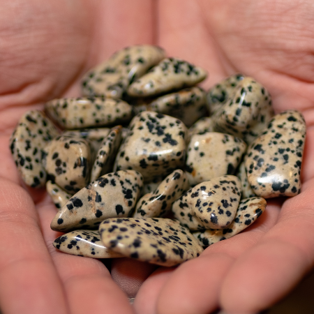 Dalmatian Jasper Pocket Stone