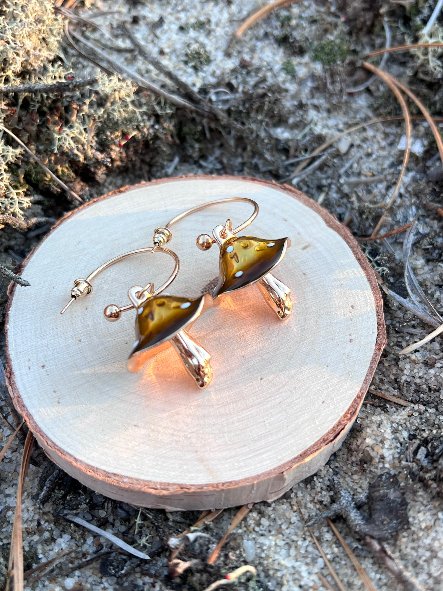Earrings