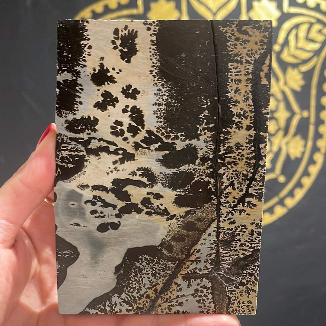 Picture Jasper Slab