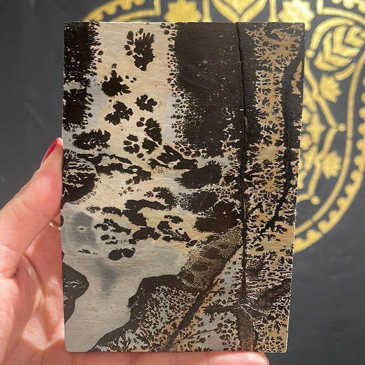 Picture Jasper Slab