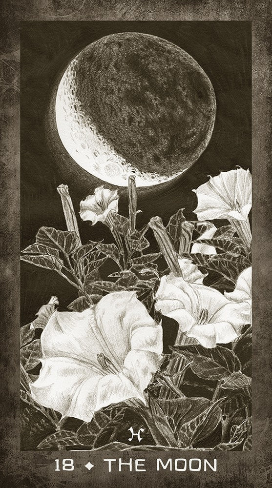 New Era Elements Tarot