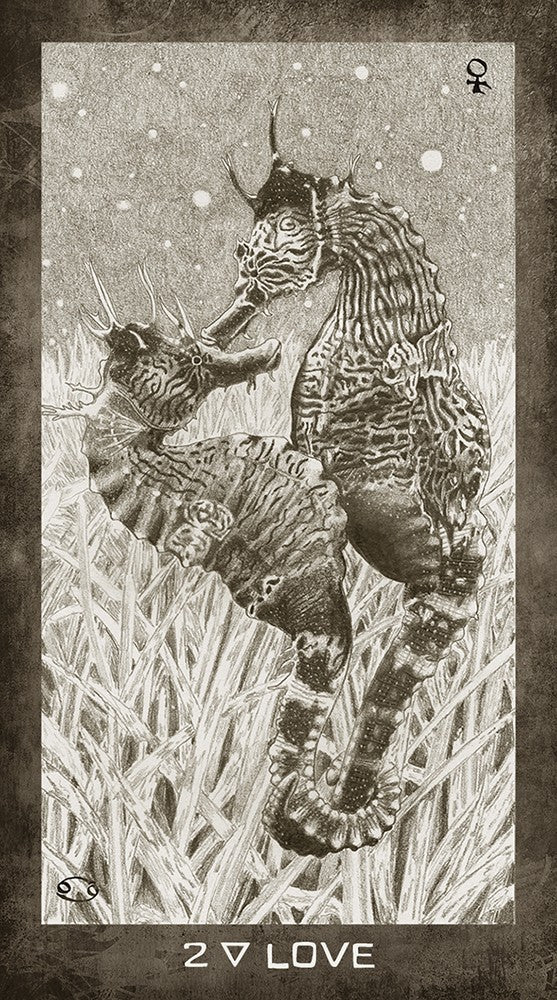 New Era Elements Tarot
